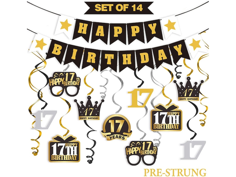 17 Birthday Decorations Set Happy 17th Birthday Party Swirls | Etsy