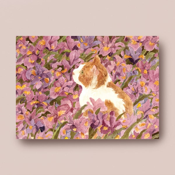 Chat roux dans un jardin d'iris violet