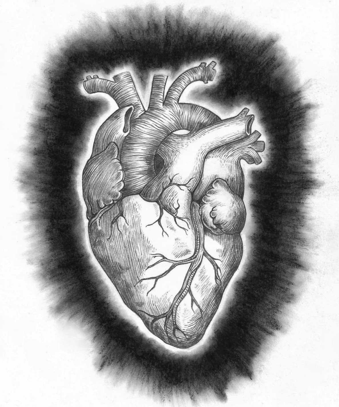 SMALL PRINT Charcoal Anatomical Heart Print Wall art Etsy