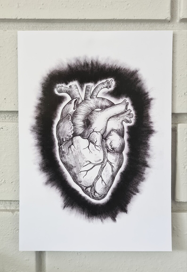 SMALL PRINT Charcoal Anatomical Heart Print Wall Art Etsy