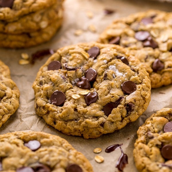 Gourmet Soft Chewy Chocolate Chip Oatmeal Cookie