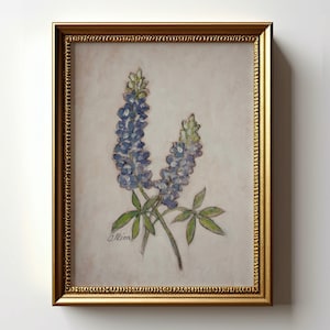 Bluebonnet Print Texas Flower Art Bluebonnet Prezent dla babci Łubin Sztuka do salonu Wystrój Bluebonnet Malarstwo Plakat Bez Ramki