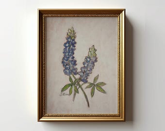 Bluebonnet Kunstdruck: Texas Wildblumen Malerei Poster (Ungerahmt)