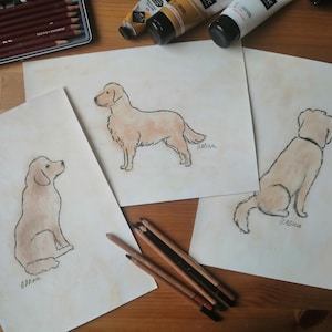 May include: Three watercolor paintings of golden retrievers in various poses. The dogs are depicted in shades of tan and brown with black outlines. Art supplies, including colored pencils and paint tubes, are visible.