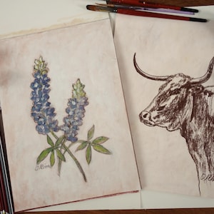May include: Two framed drawings on a table. The left drawing is of a bluebonnet flower, a Texas state flower. The right drawing is of a brown longhorn steer. Both drawings are signed by the artist.