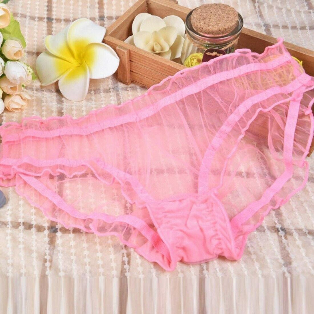 Vintage Style Completely Sheer Transparent Nylon Panties Retro Look Sexy  NEW 