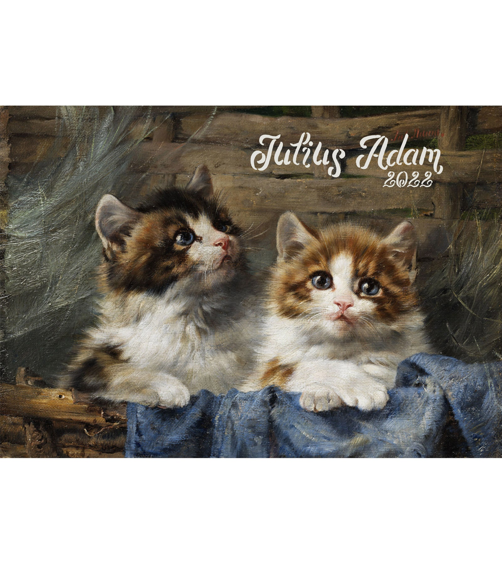 Wall Calendar 2023 12 Pages 8x11 Kittens & Cats - Etsy UK