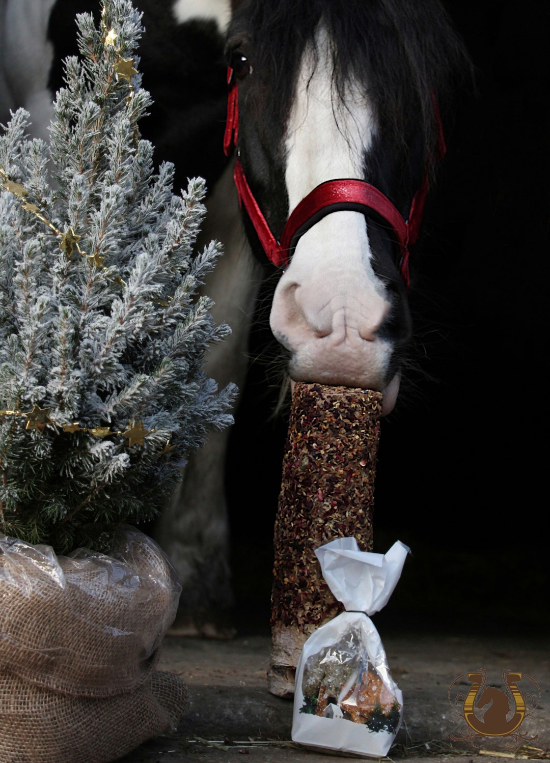 Advent Nibble Wood Chocolates Cookies Horse Herbs Block Set Christmas