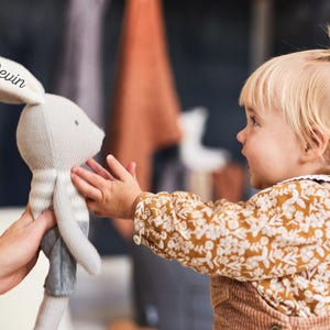 Personalisierter Kuscheltier Hase mit Namen, ideal als Babygeschenk zur Geburt, Taufe oder Geburtstag. Ein perfektes Babygeschenk für Jungen und Mädchen zur Taufe. Für Kinderzimmer baby and kids gift.