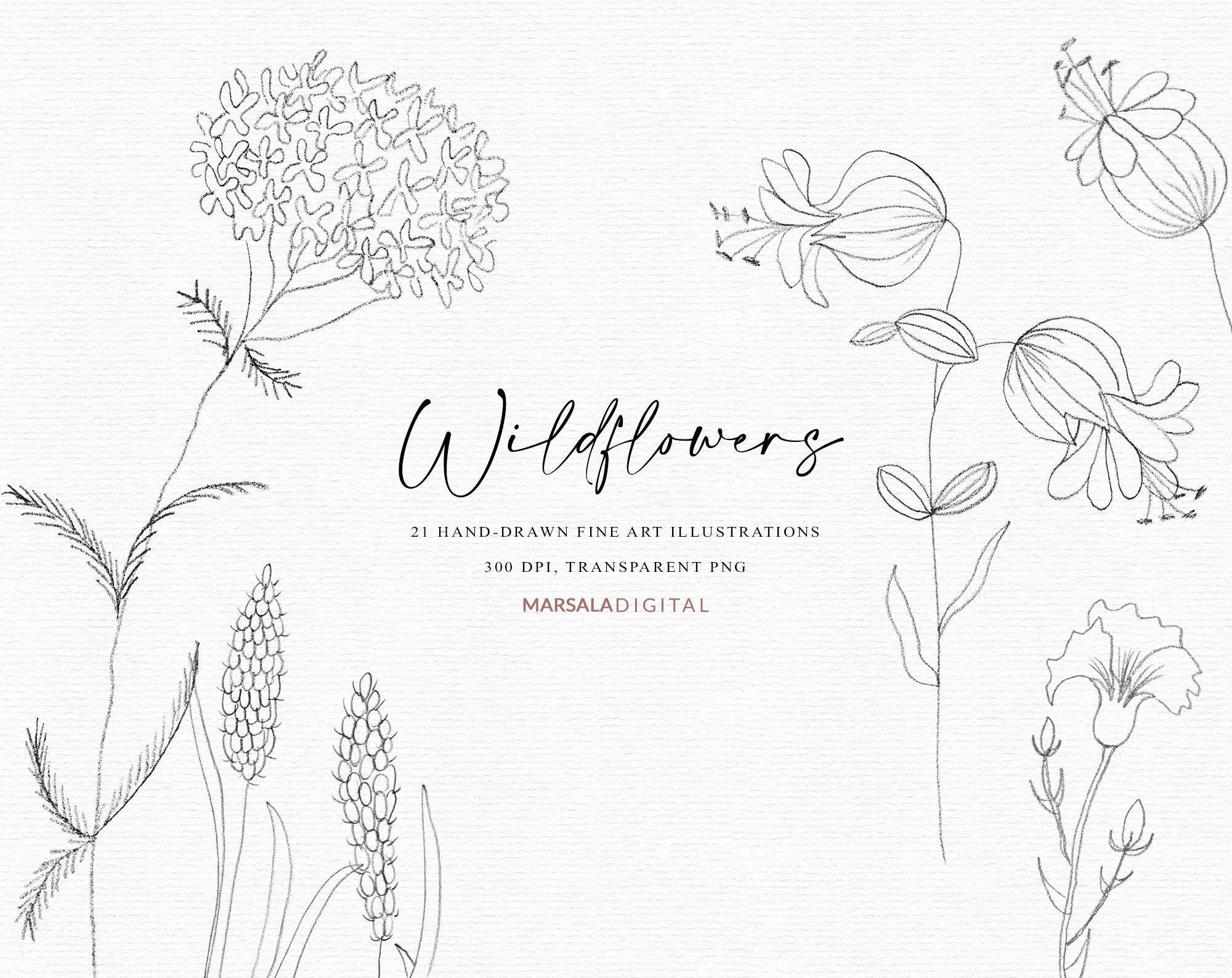 Wildflowers Botanical Line Art Clipart Fine Art Botanical | Etsy