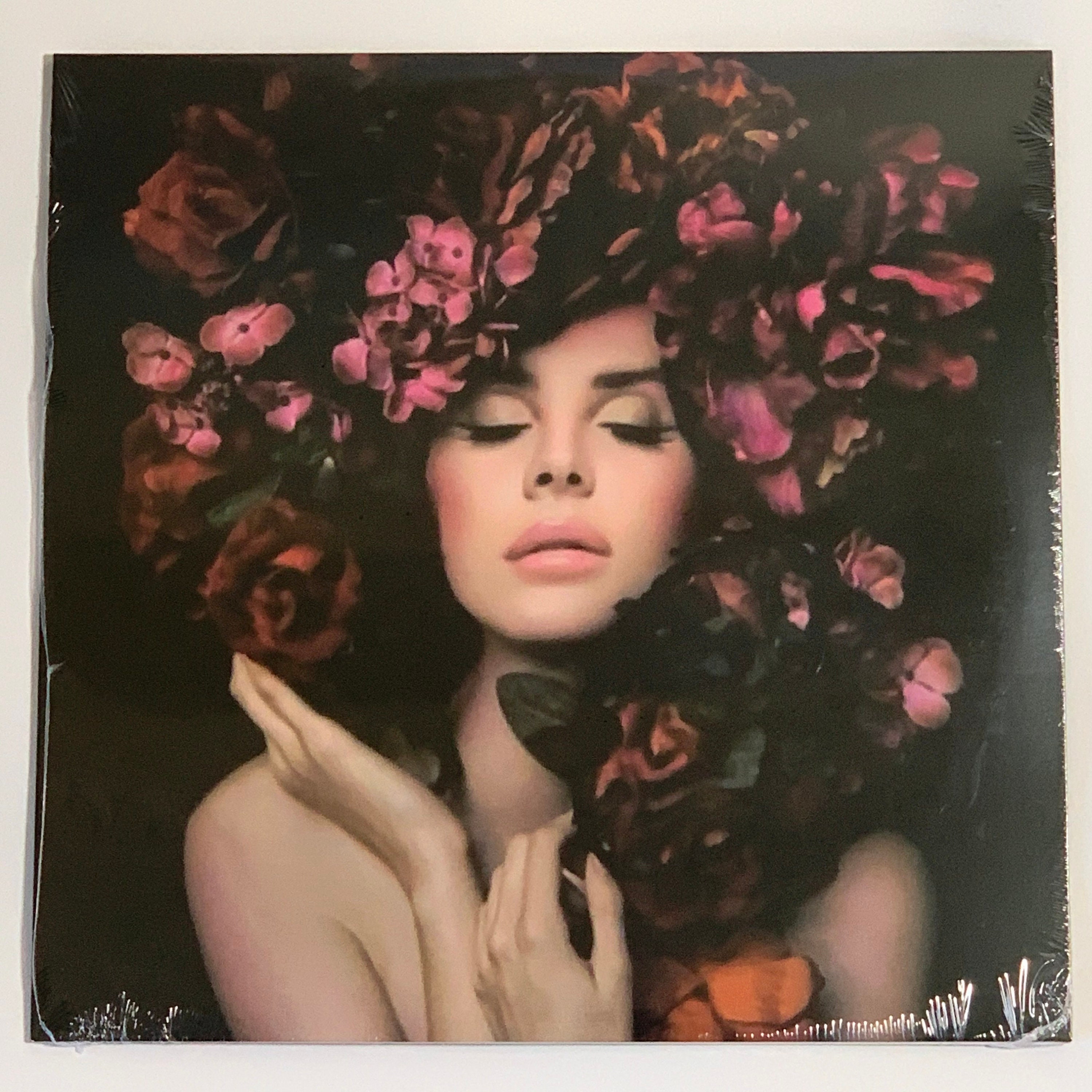 LOVE - Lana Del Rey by fredsie  Lana del rey art, Cute stickers, Vinyl art  paint