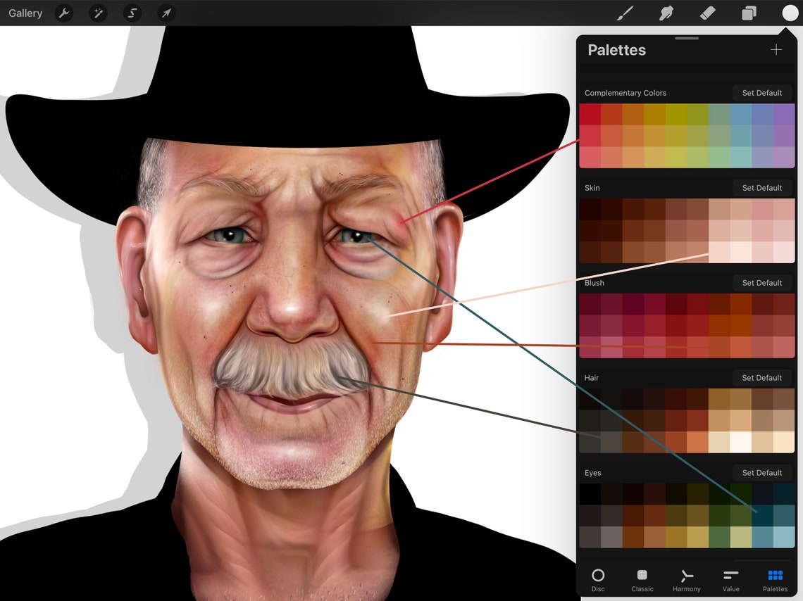 5 Portrait Skin, Hair, Eyes, Color Palettes for Procreate Etsy