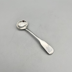 William IV Sterling Silver Salt Spoon, Samuel Hayne & Dudley Cater, London, 1836