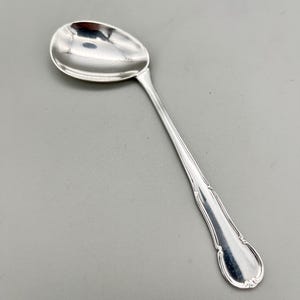 以下が含まれることがあります： 楕円形のボウルと細長い柄が付いた銀のスプーン。柄の端近くには装飾的なデザインがあります。スプーンは、おそらく銀または銀色の合金である、光沢のある反射性の金属で作られています。