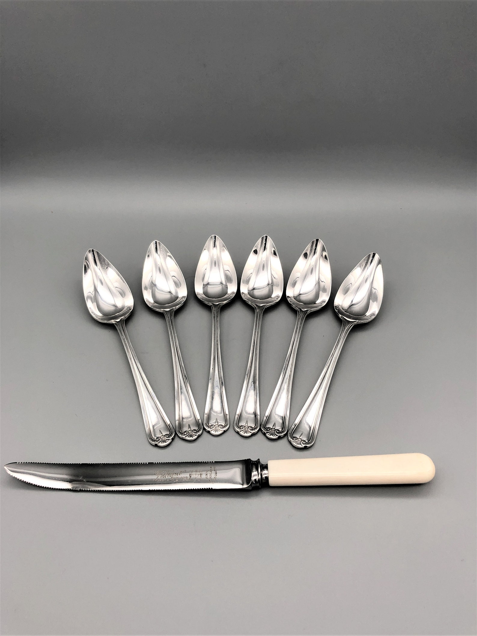 MidCentury Silver Plated Grapefruit Spoons and Knife Set Etsy