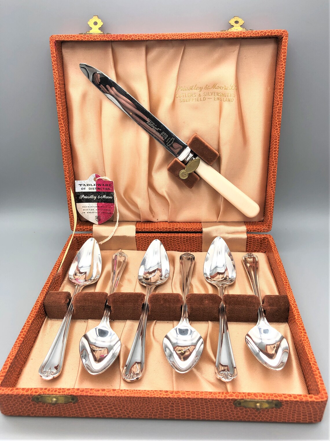 MidCentury Silver Plated Grapefruit Spoons and Knife Set Etsy