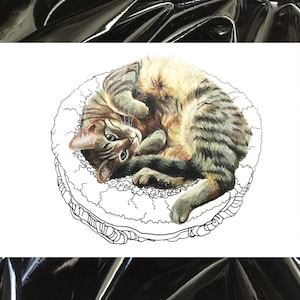 Postcard: cuddly cat image 1