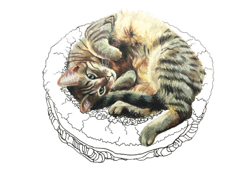 Postcard: cuddly cat image 2