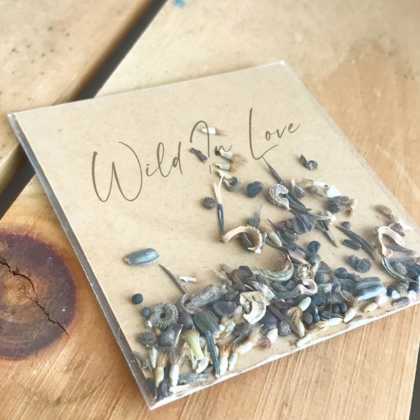 Wild Flower Seed Confetti for Weddings & Events, 100% biodegradable party favors or event decor