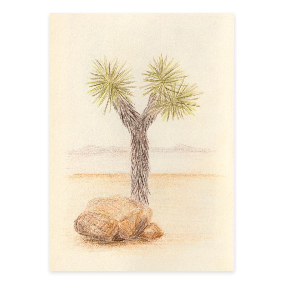 Joshua Tree, Fine Art Print of a Colored Pencil Drawing by Kat ...