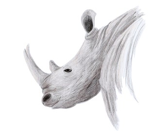 May include: A pencil drawing of a rhinoceros's head and neck, facing the viewer. The rhinoceros is drawn in shades of gray, with a detailed depiction of its features, including its large horn, wrinkled skin, and small eye.