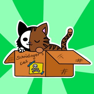 Cute Cartoon Cat Schrodinger Sticker Kitten Design Adhesive - Etsy
