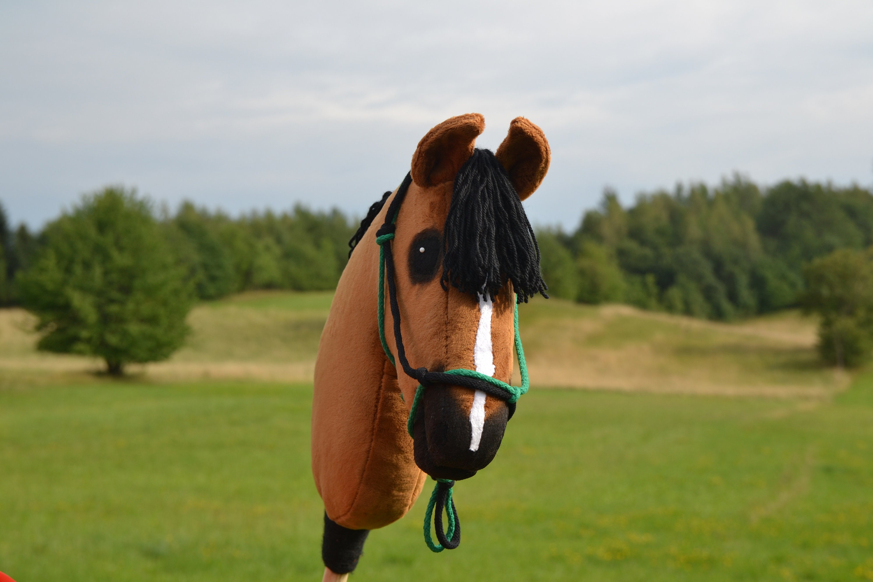 Hobby horse ALBI stickhorse steckenpferd hobbyhorse