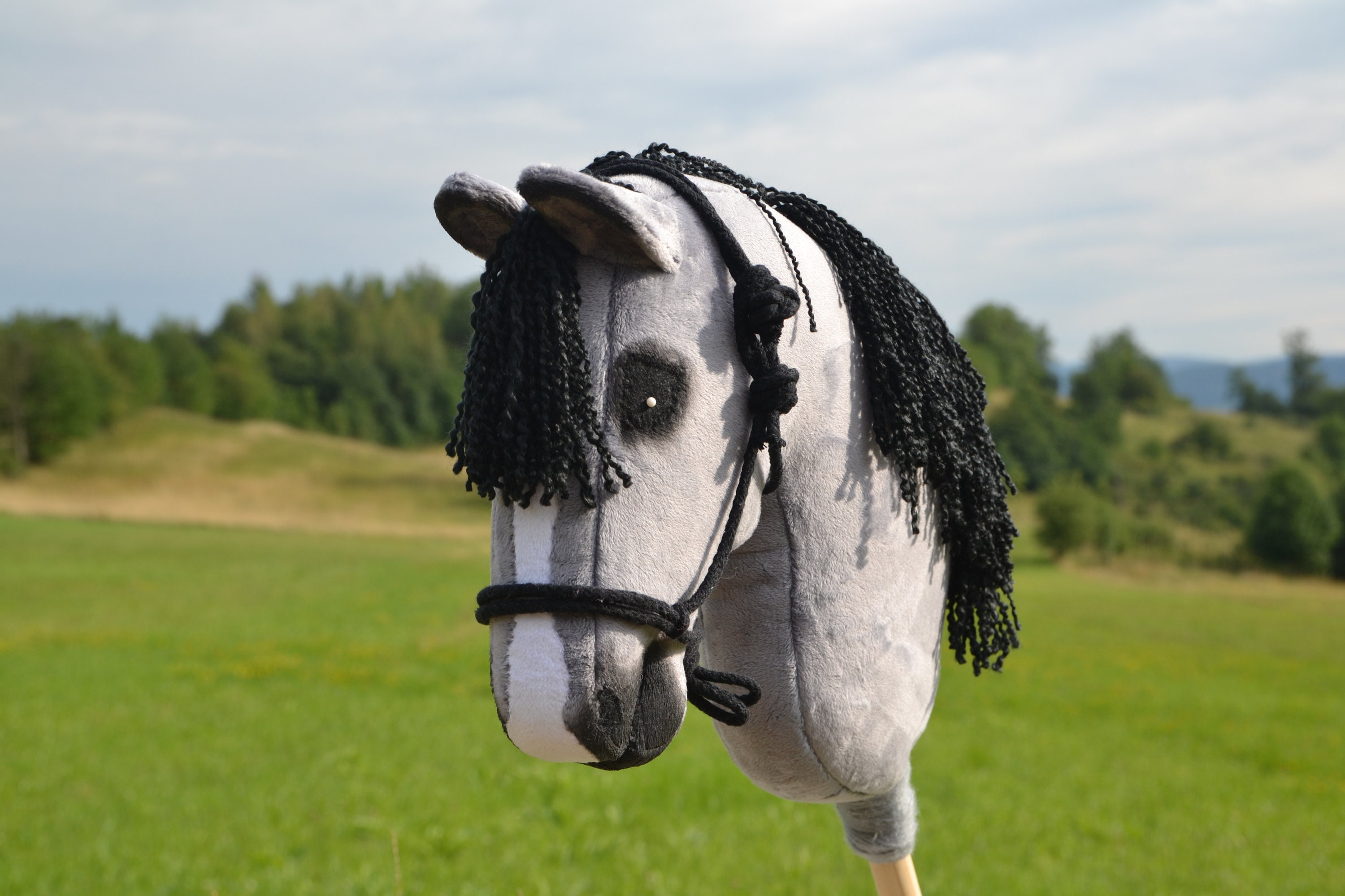 HOBBY HORSE - Etsy