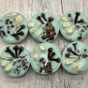 Scented Handmade Motivation - Balance Intention Spell Crystal Green Tea Light 6 pack Candles - Tigers Eye - Lemon Scent