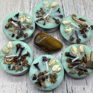 Scented Handmade Green Motivation - Balance Intention Spell Tea Light 6 pack Candles with Tigers Eye Pocket Stone - Cloves - Lemon Scent