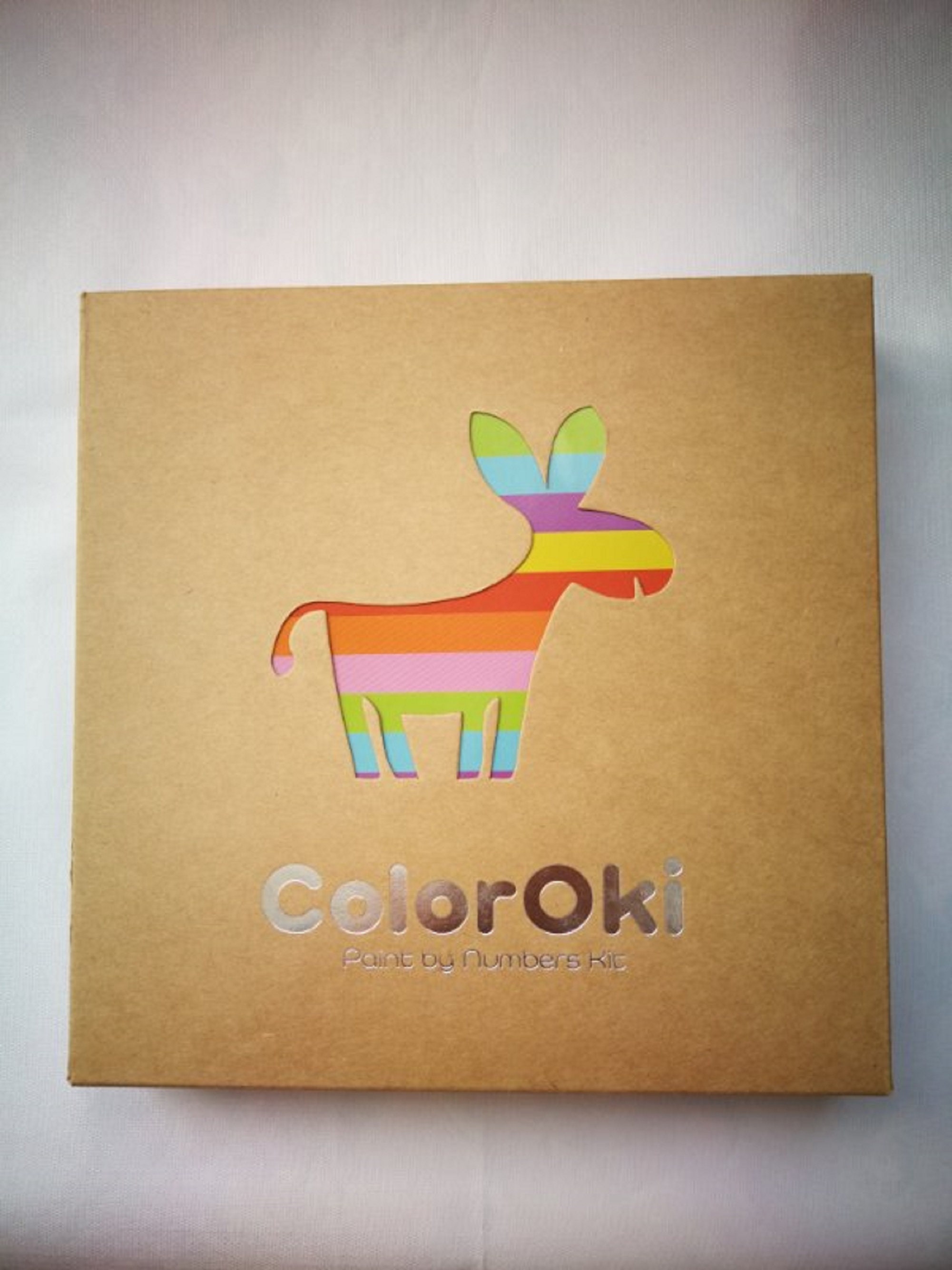 Paint by Numbers Canvas Kits for Kids Easy Pre Drawn | Etsy