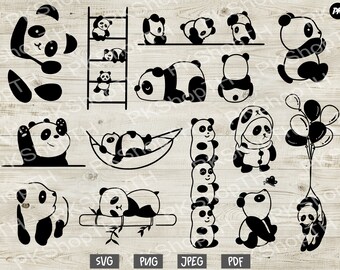 Download Panda Svg Etsy