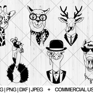 Hipster animals svg bundle, Cute funny animals svg, dxf, pnf, jpg, Cool animals family svg, Animals with glasses svg, Instant Download