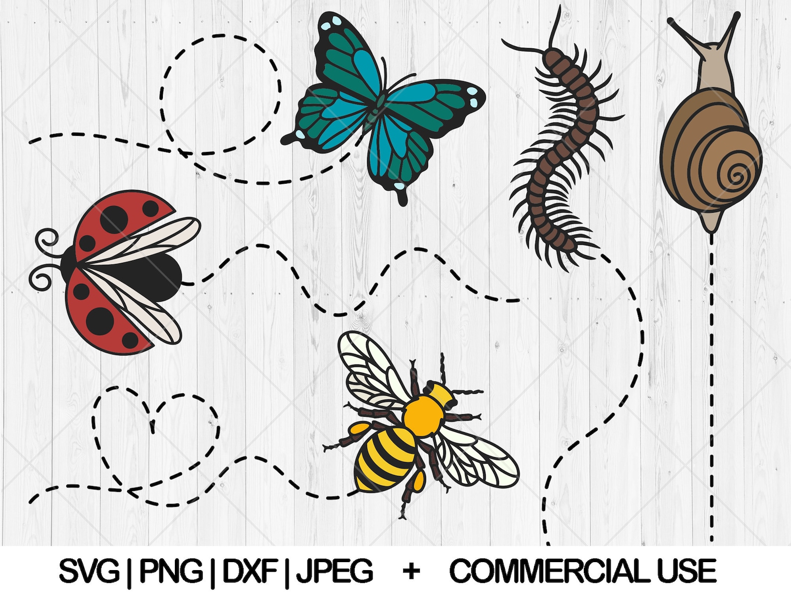 Insects Racing Svg Insects Bugs and Lizard Svg Bundle, Pest Control Svg, Dxf, Png, Jpg ...