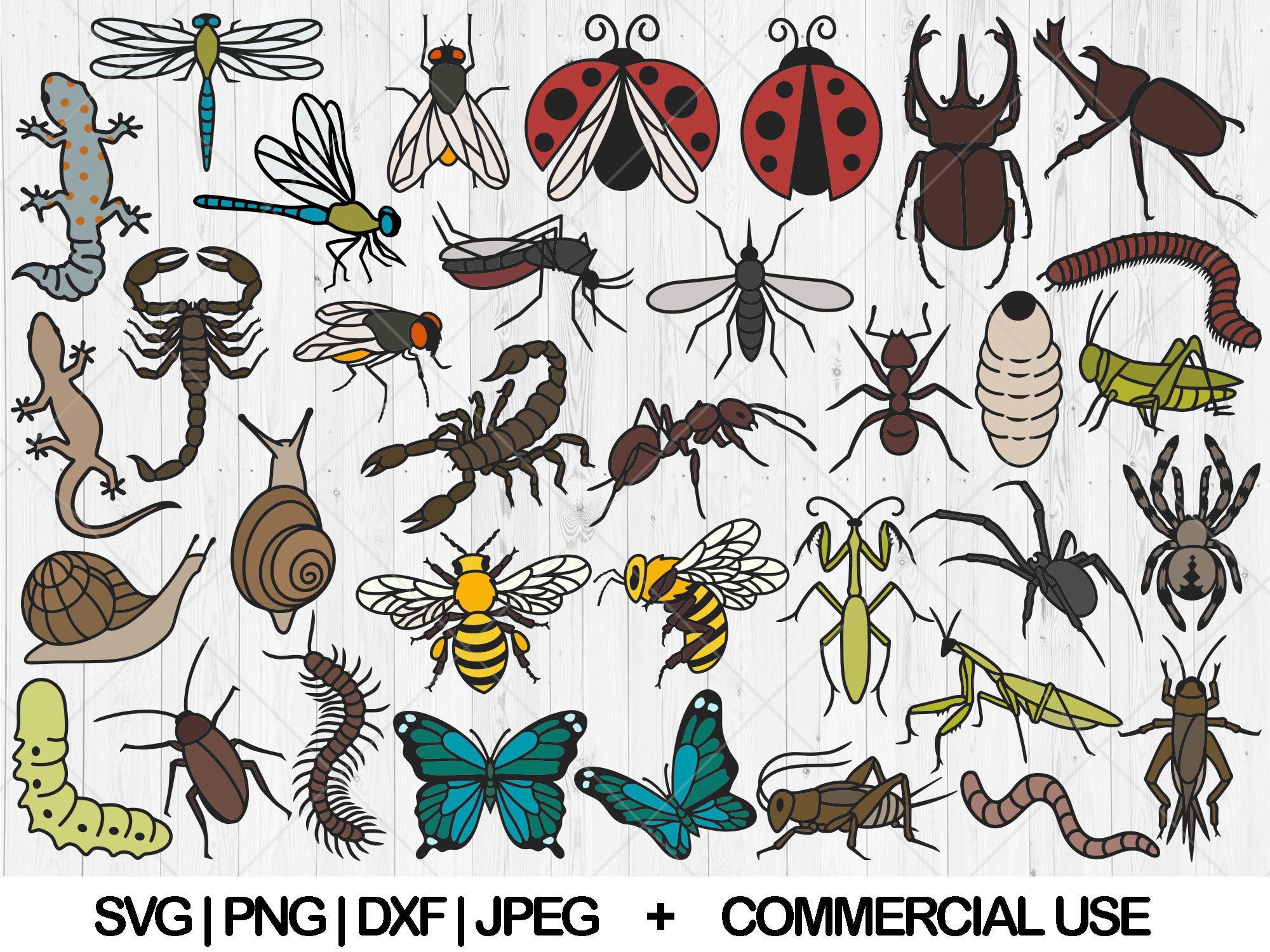 Insects Racing Svg Insects Bugs and Lizard Svg Bundle, Pest Control Svg, Dxf, Png, Jpg ...