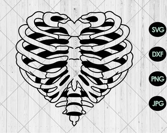 Skeleton rib heart svg bundle, Rib cage heart svg, dxf, png, jpg, Floral human skeleton svg, Butterly skeleton heart svg, Instant Download