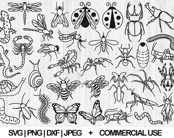 Insects Bugs and Lizard svg bundle, Pest control svg, dxf, png, jpg, Beetles svg, Bee Ladybug Dragonfly svg, Snail svg, Instant Download
