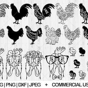 Chicken svg bundle, Rooster svg, dxf, png, jpg, Baby chick svg, Chicken face svg, Floral chicken svg, Funny chicken svg, Instant Download