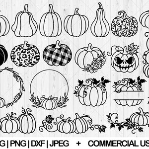 Kürbis svg Bundle, Floral Kürbis svg, Dxf, Png, Jpg, Kürbis Kranz svg, Halloween fallen Kürbis svg, Leopard Kürbis svg, Instant Download