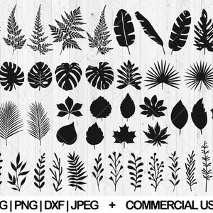 Tropical leaves svg bundle, Monstera leave svg, Leaf Templates, Tropical leaf svg, Palm leaves svg, Fern svg, Paper leaves, Instant Download