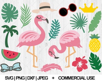 Tropische flamingo svg bundel, Leuke flamingo svg, dxf, png, jpg, Flamingo thema svg, Zomer flamingo gelaagde svg, Instant Download