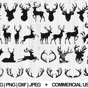 Deer svg bundle, Forest deer svg, dxf, png, jpg, Deer antlers svg, Deer head svg, Deer hunting svg, Deer Silhouette, Instant Download