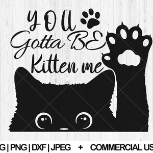 You gotta be kitten me svg, Funny cat svg, dxf, png, jpg, Cat quote svg, Peeking cat svg, Cute cat svg, Funny kitten svg, Instant Download