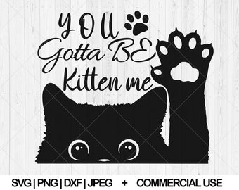 You gotta be kitten me svg, Funny cat svg, dxf, png, jpg, Cat quote svg, Peeking cat svg, Cute cat svg, Funny kitten svg, Instant Download