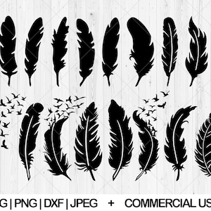 Feather svg bundle, Feather birds svg, dxf, png, jpg, Feathers Silhouette, Boho feather svg, Tribal feather svg, Instant Download