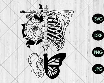 Floral skeleton butterfly svg, Skeleton with flowers svg, After life svg, Skeleton butterfly flowers svg, png, dxf, jpg, Instant Download