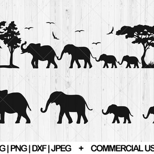 Elephant family svg, Safari scene svg, dxf, png, jpg, Elephant family holding tails svg, Cute elephant svg, Wild life svg, Instant Download