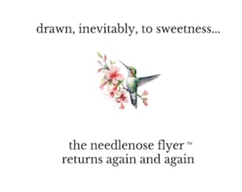 Needlenose Flyer™ Card, Hummingbird Greeting Card, Meaningful Thinking of You Card, Minimalist Nature Card