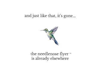 Needlenose Flyer™ Card, Hummingbird Greeting Card, Meaningful Thinking of You Card, Minimalist Nature Card