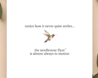 Needlenose Flyer™ Card, Hummingbird Greeting Card, Meaningful Thinking of You Card, Minimalist Nature Card
